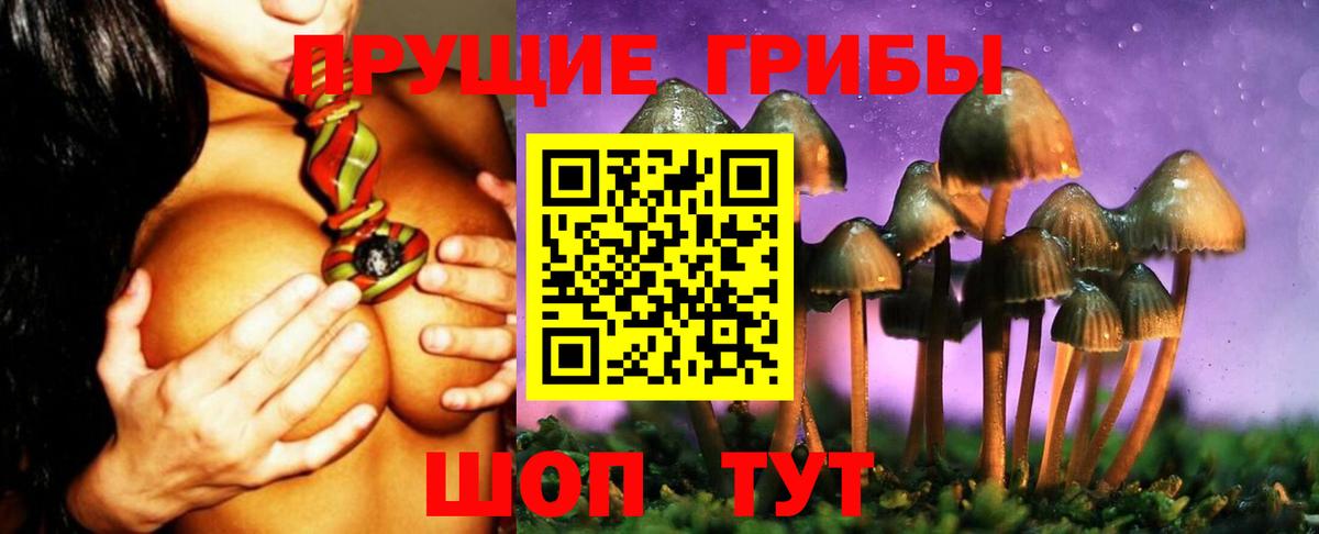 Галлюциногенные грибы прущие грибы  Вход с VPN  купить наркотик  Татарск  Галлюциногенные грибы мицелий 
